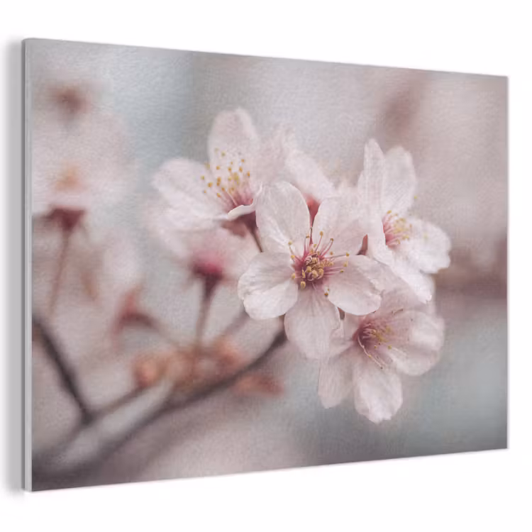 Acoustic Felt - Blossoms - Stamen - Yellow - Blurred — 1
