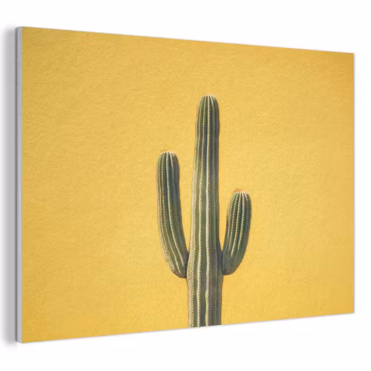 Acoustic Felt - Cactus - Green - Minimalist — 1