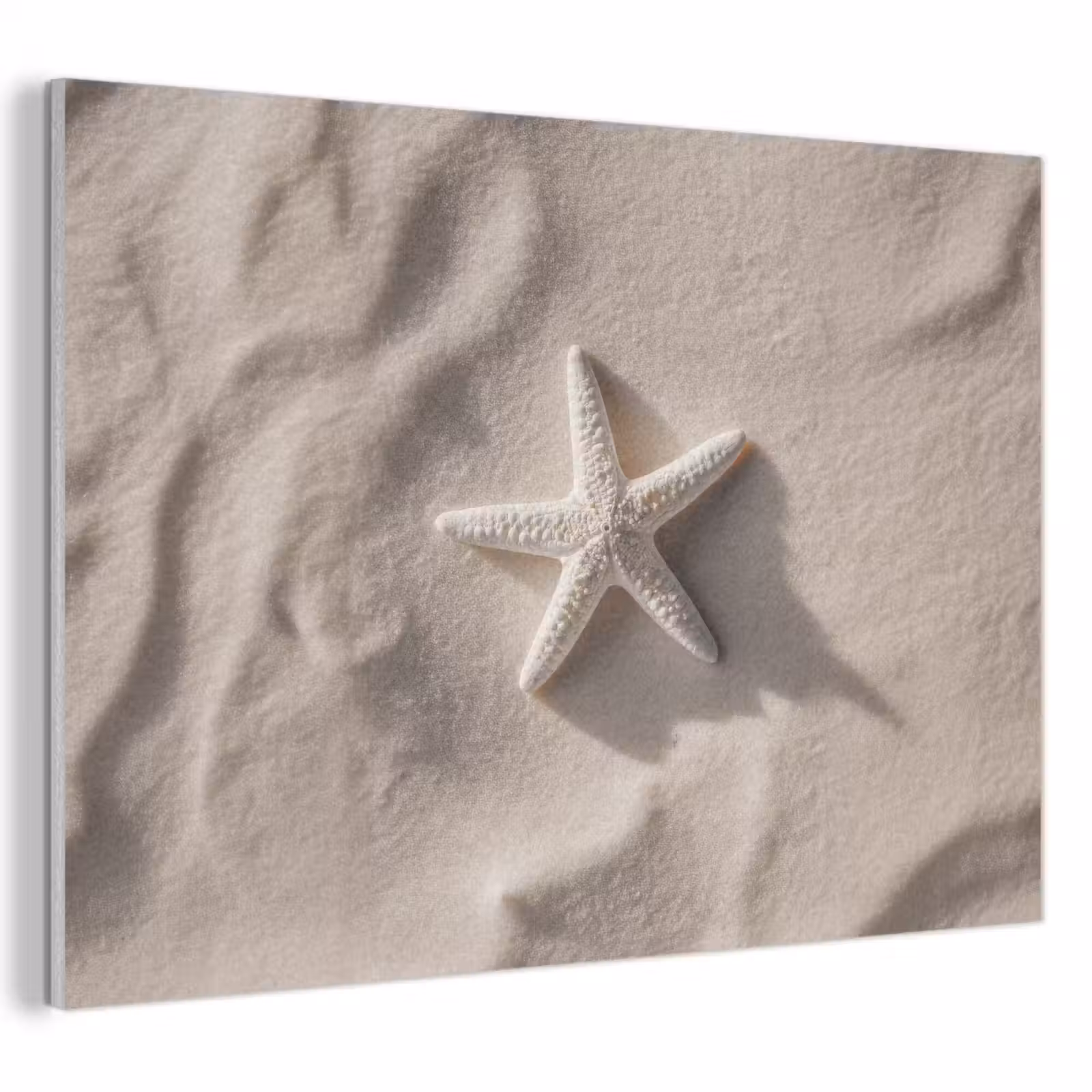 Acoustic Felt - Beach - Starfish - Sand - Beige — 1