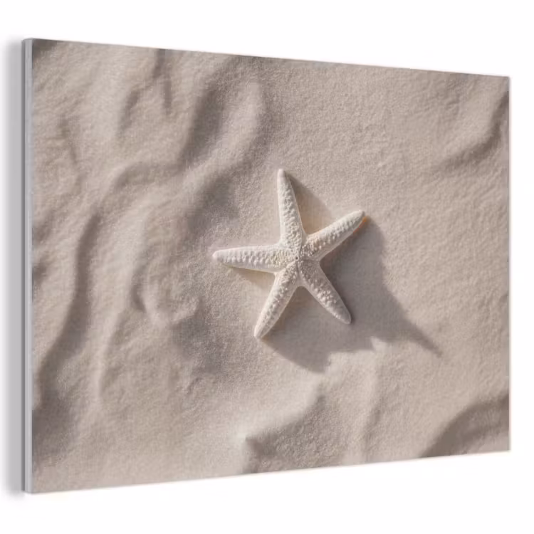 Acoustic Felt - Beach - Starfish - Sand - Beige — 1