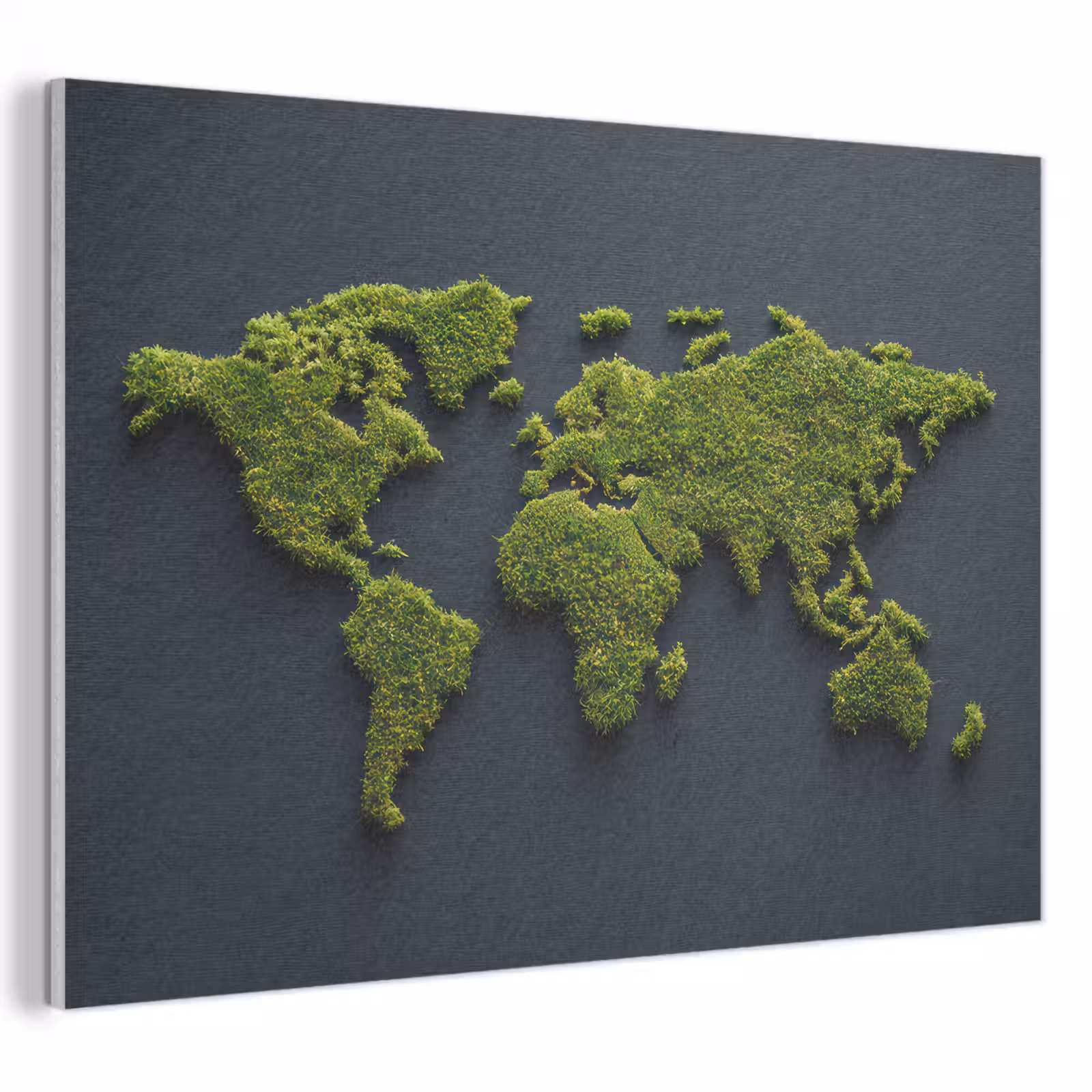 Acoustic Felt - World map - Moss -Live effect — 1