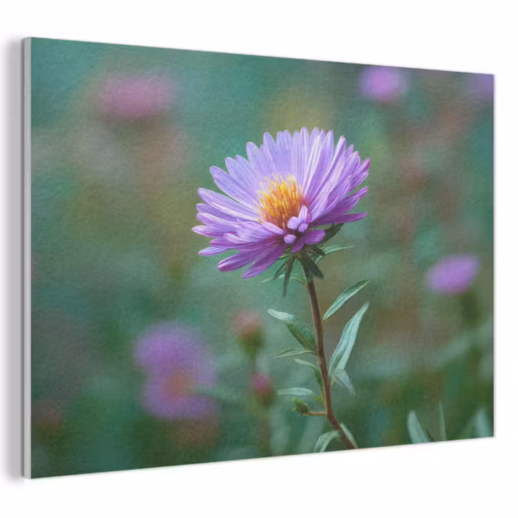 Acoustic Felt - Aster - Purple - Flower - Petals — 1