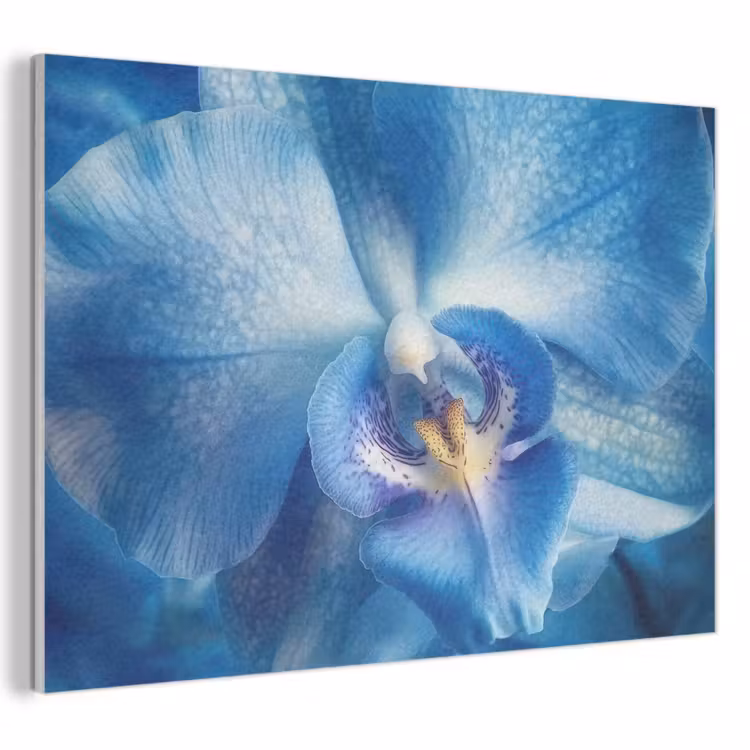Acoustic Felt - Blue - Orchid - Elegeant — 1