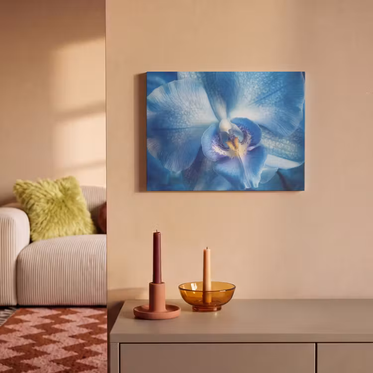 Acoustic Felt - Blue - Orchid - Elegeant — 2
