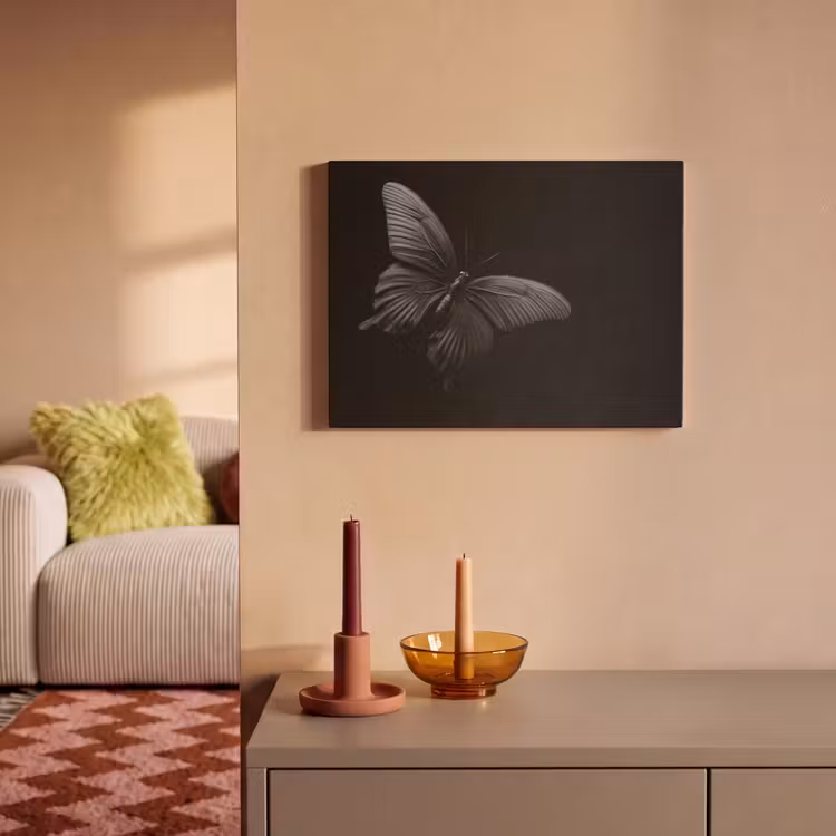 Acoustic Felt - Butterfly - Black - Insect - Animals — 2