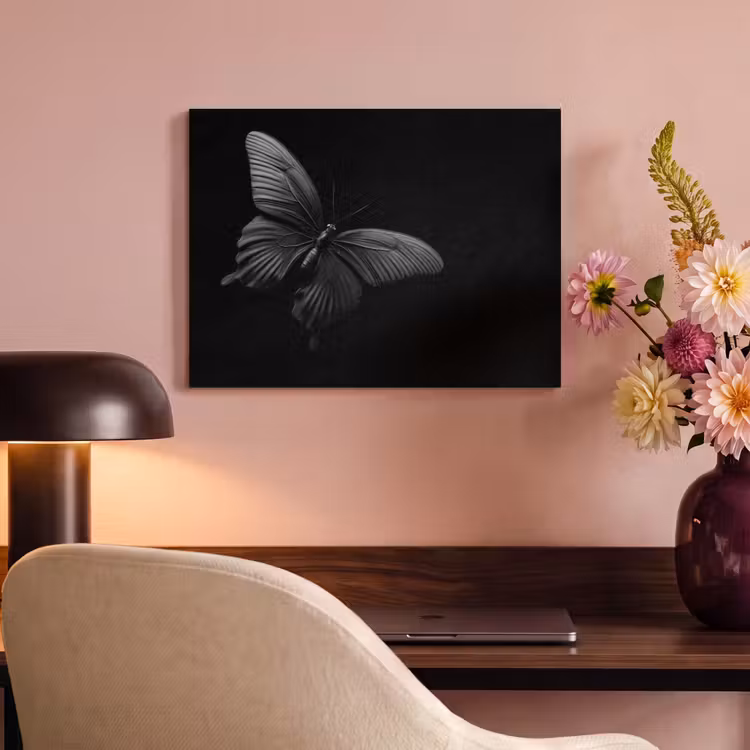 Acoustic Felt - Butterfly - Black - Insect - Animals — 4