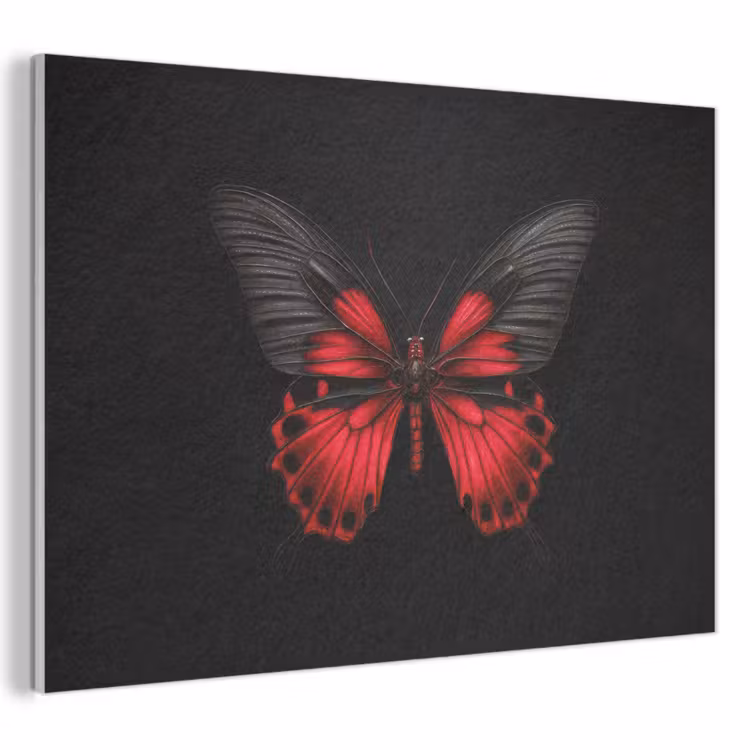 Acoustic Felt - Butterfly - Red - Contrast — 1