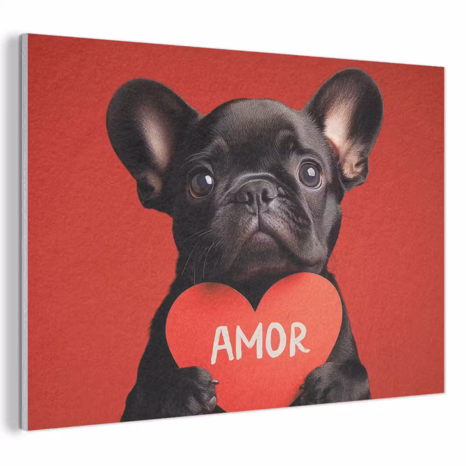 Acoustic Felt - Amor - Dog - Heart - Red — 1