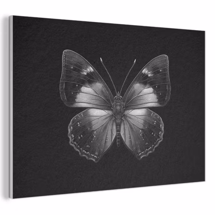 Acoustic Felt - Butterfly - Gray - Mysterious — 1