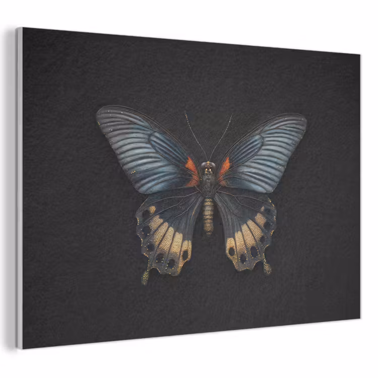 Acoustic Felt - Butterfly - Metallic - Geometric pattern — 1