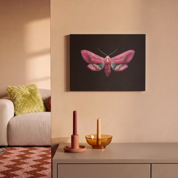 Acoustic Felt - Butterfly - Pink - Moth — 2