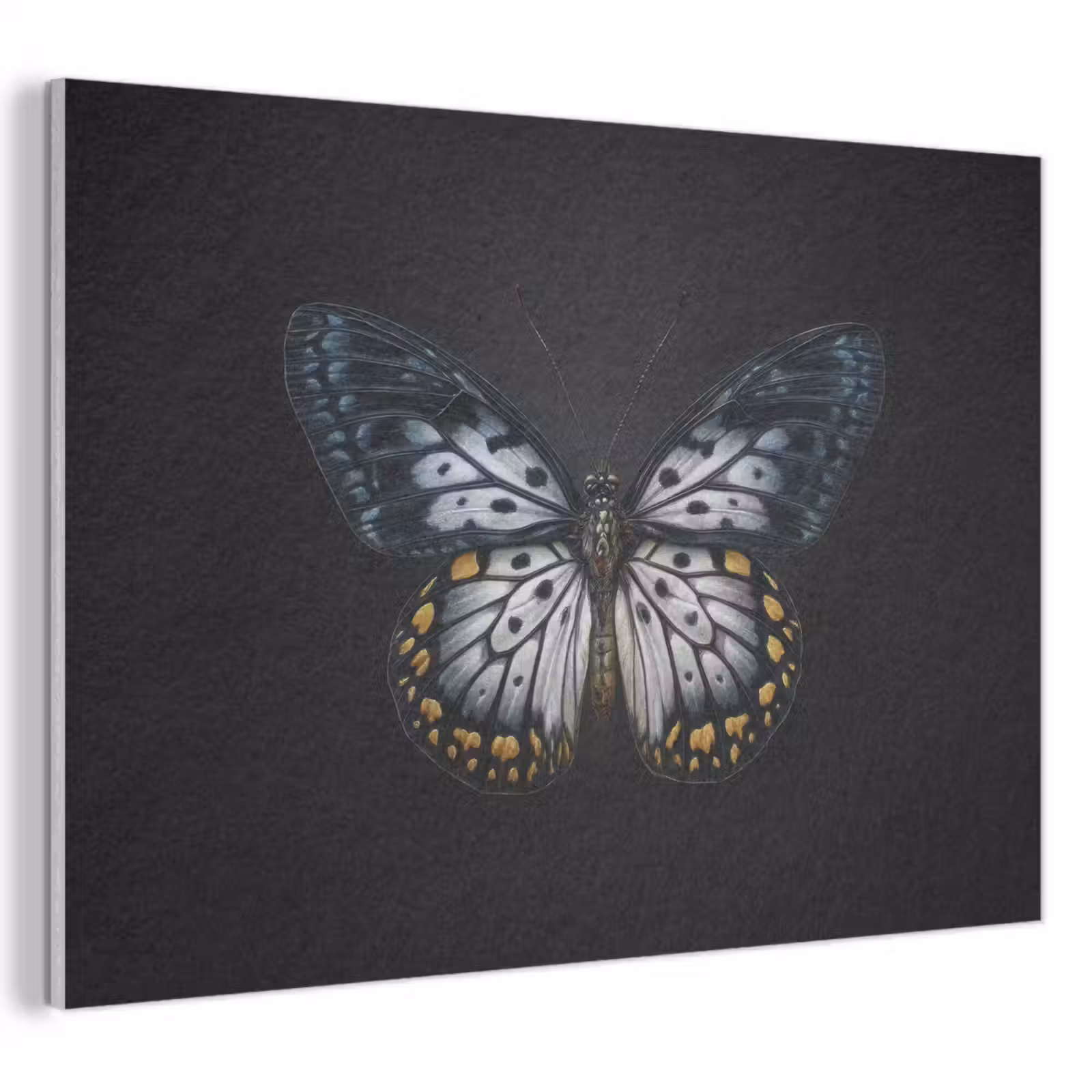 Acoustic Felt - Butterfly - Monochrome - Balance — 1