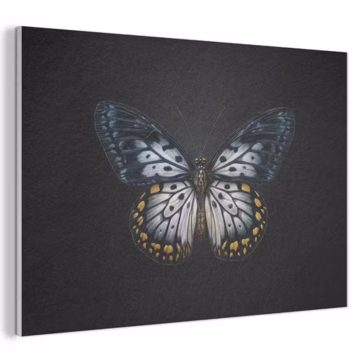 Acoustic Felt - Butterfly - Monochrome - Balance — 1