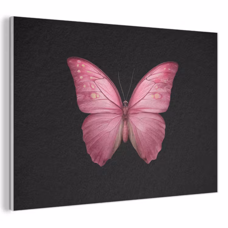 Acoustic Felt - Butterfly - pink - Elegant — 1
