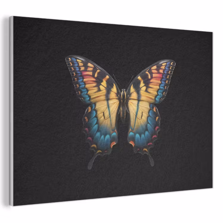 Acoustic Felt - Butterfly - Colorful - Playful — 1