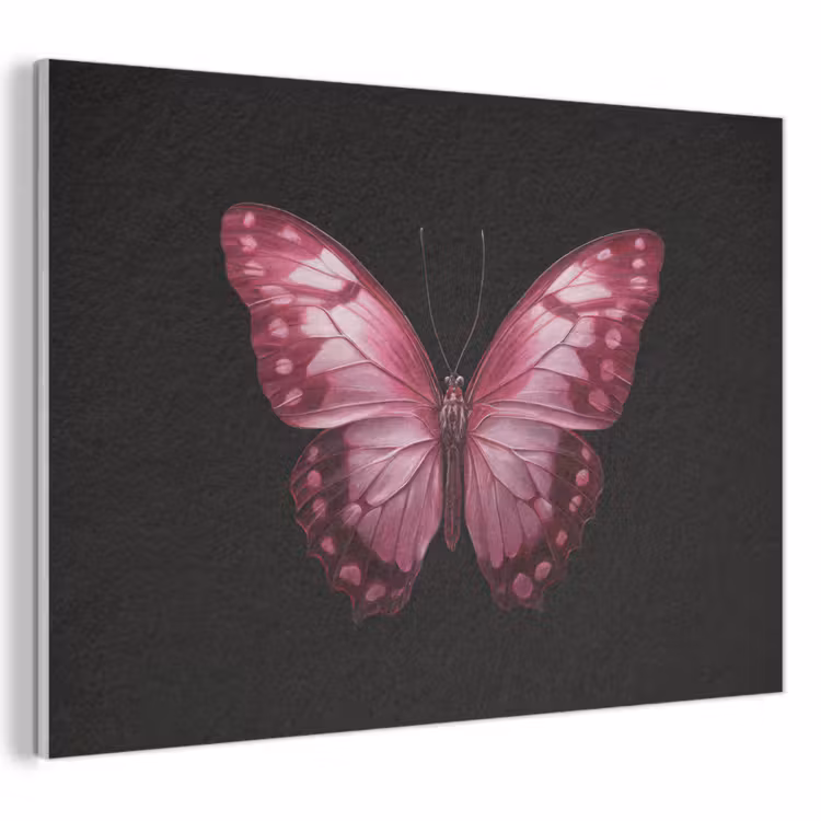Acoustic Felt - Butterfly - Fuchsia - Graphic — 1