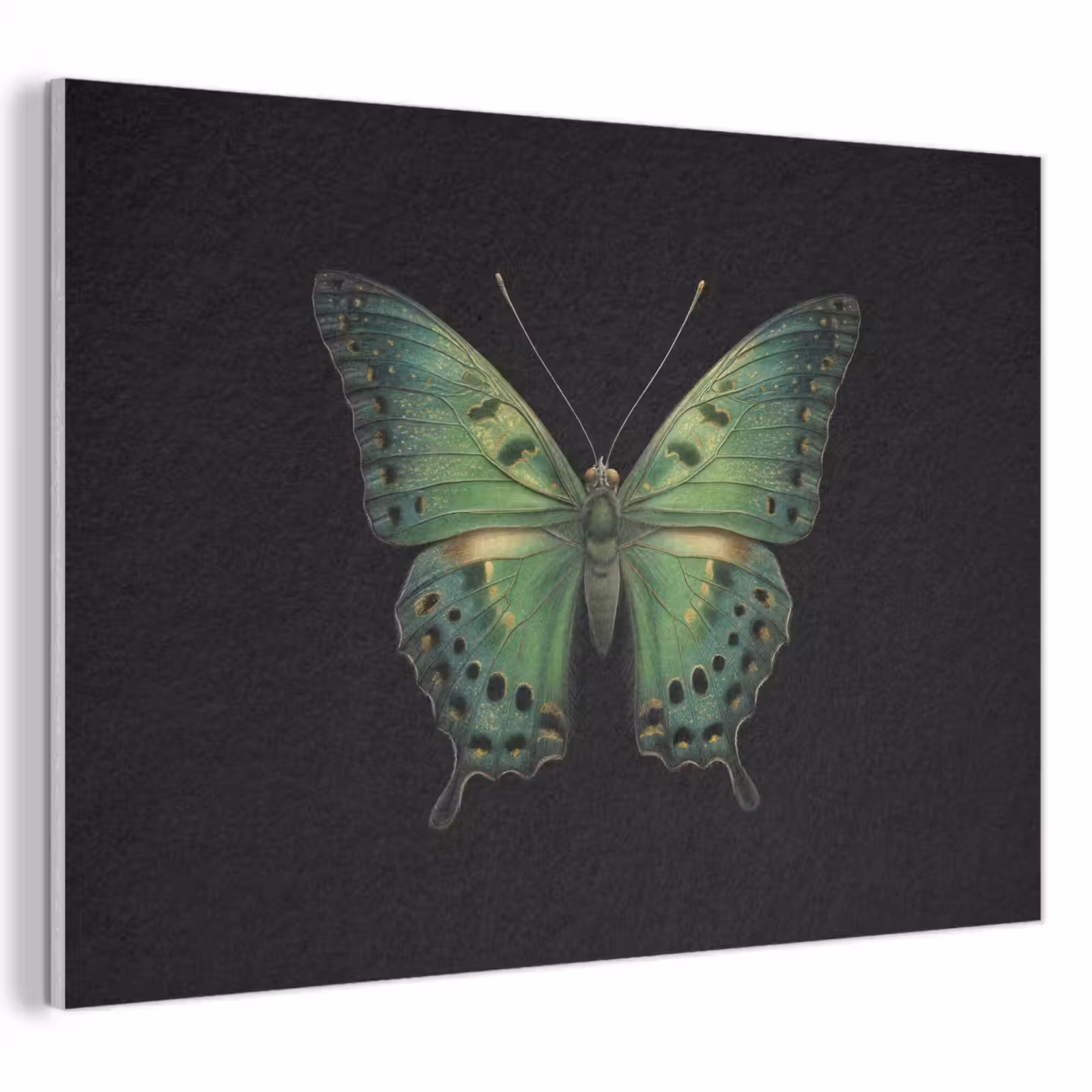 Acoustic Felt - Butterfly - Green - Depth — 1