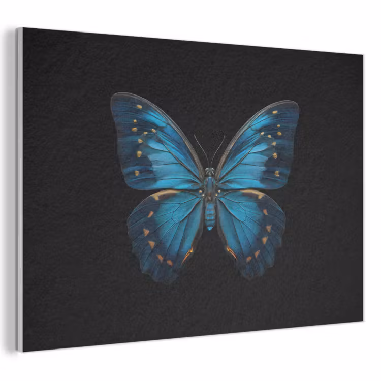 Acoustic Felt - Butterfly - Blue - Contrast — 1