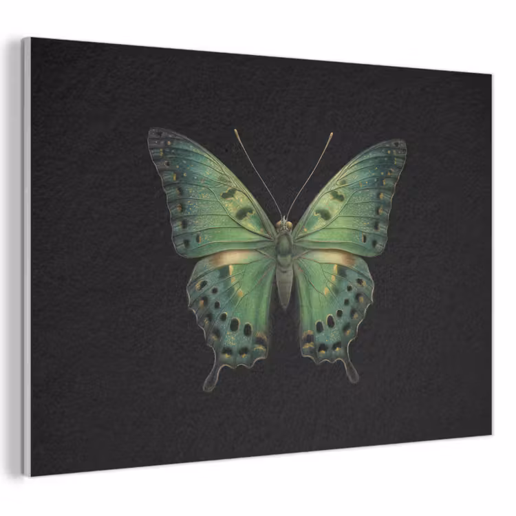 Acoustic Felt - Butterfly - Green - Depth — 1