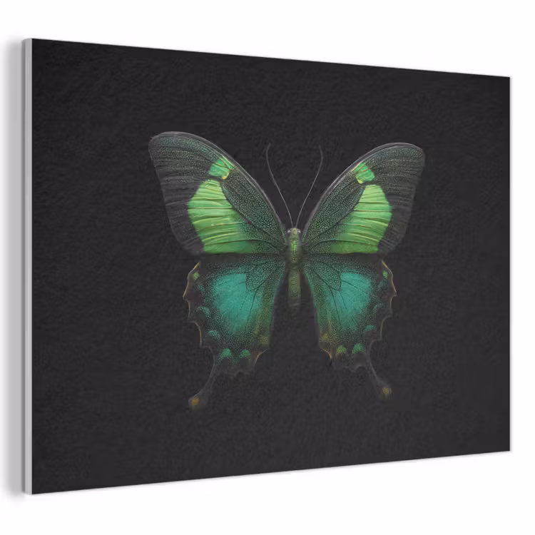 Acoustic Felt - Butterfly - Green - Striking — 1