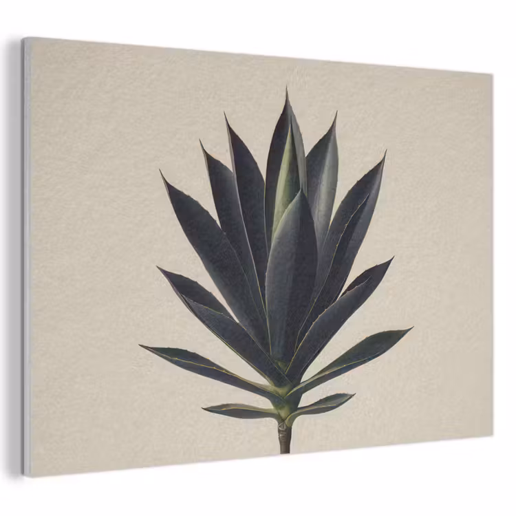 Acoustic Felt - Agave plant - Symmetrical - Green — 1