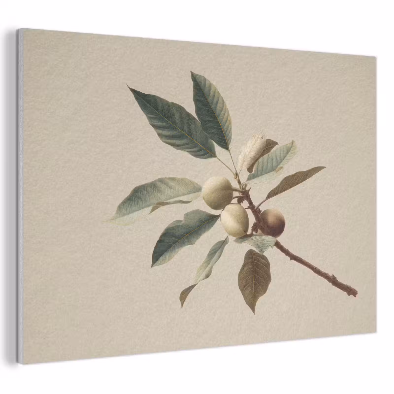 Acoustic Felt - Branch - Green Leaves - Fruits — 1