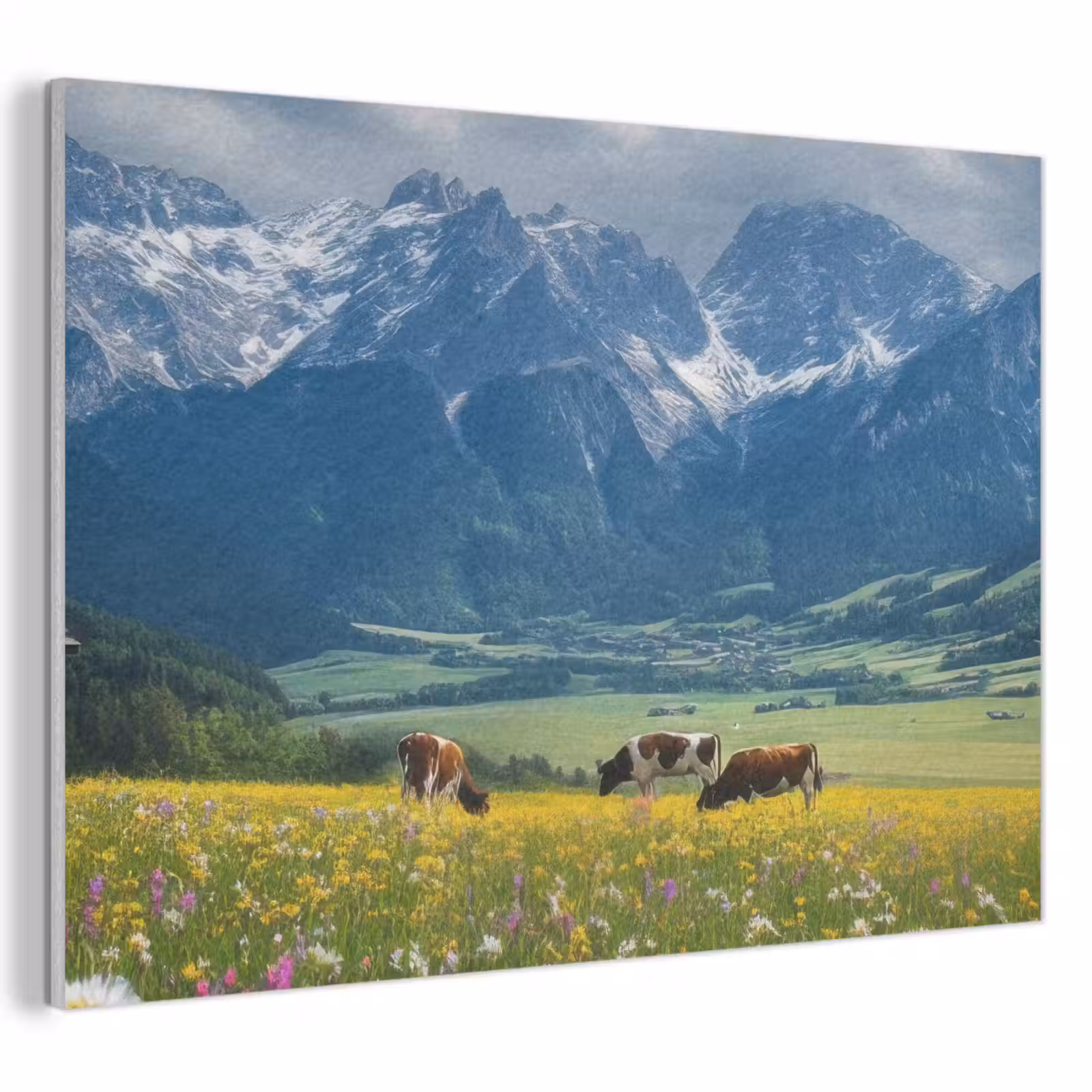 Acoustic Felt - Alps - Meadow - Mountains - Cows — 1