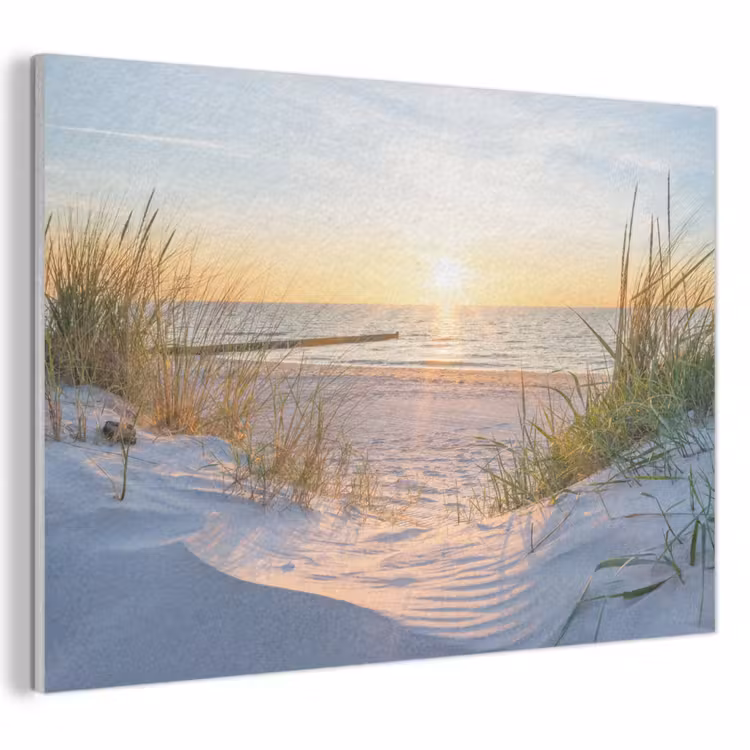 Acoustic Felt - Beach - Sun - Dune - Grass - Sand - Horizon — 1