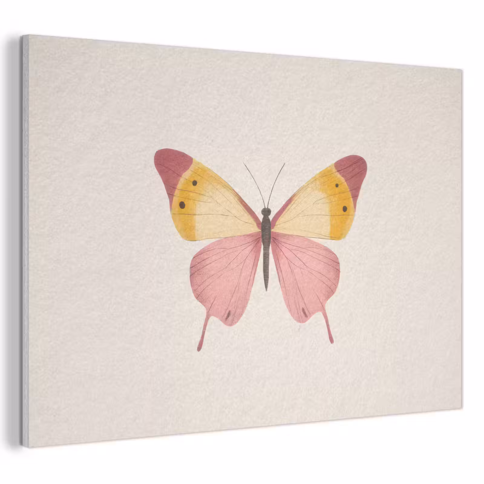 Acoustic Felt - Butterfly - Illustration - Pink — 1