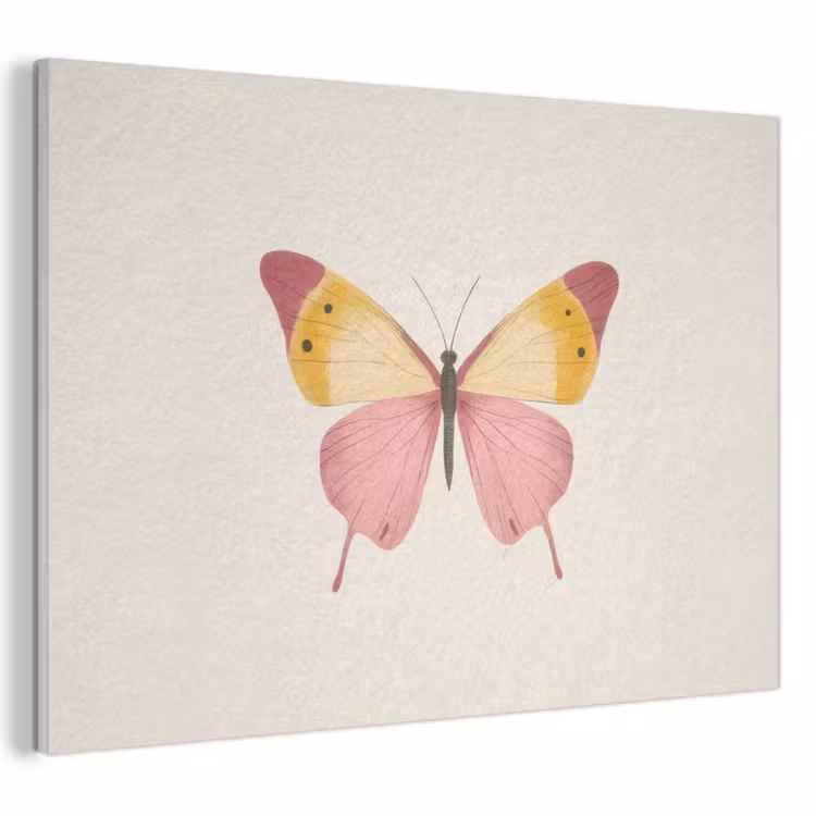 Acoustic Felt - Butterfly - Illustration - Pink — 1