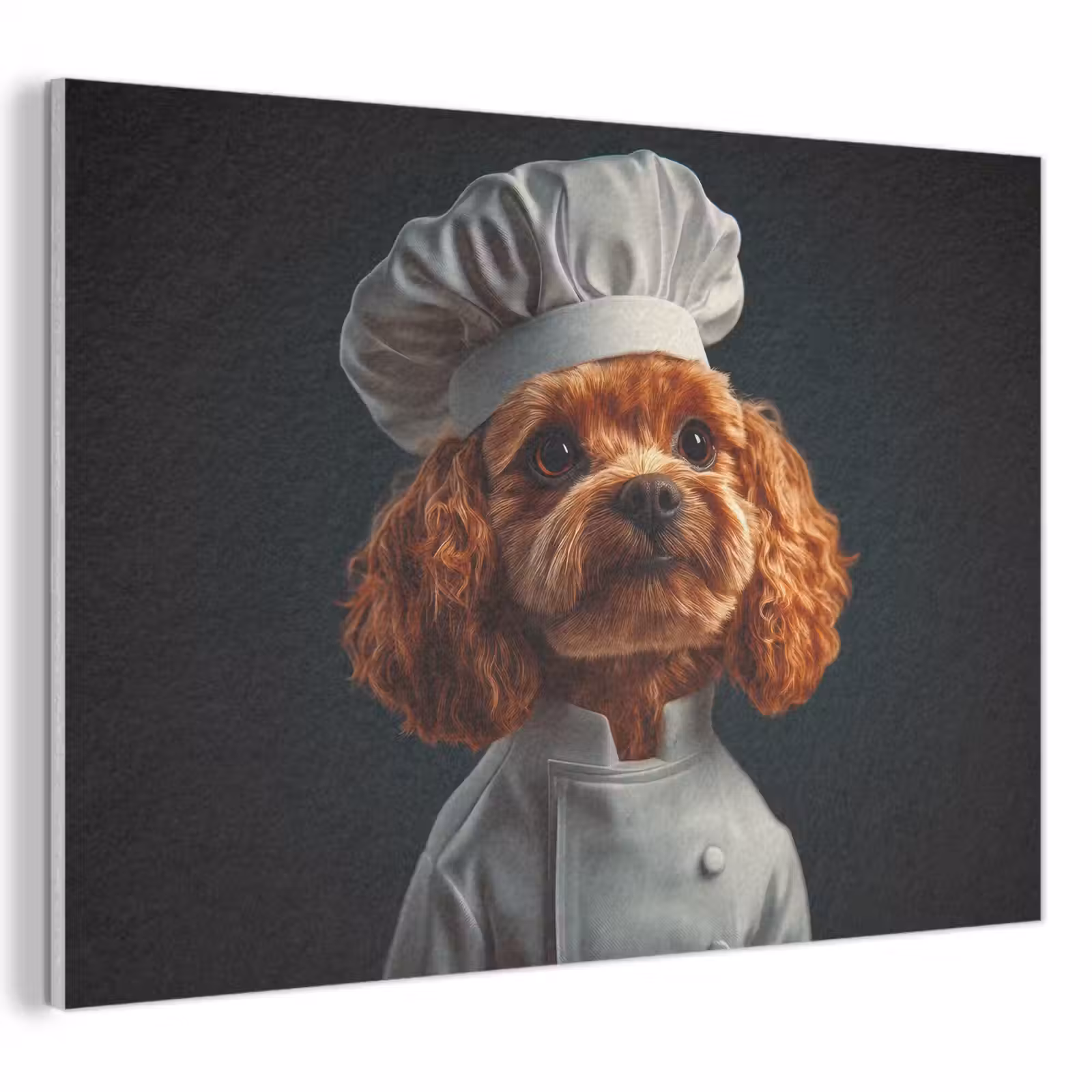 Acoustic Felt - Brown - Cook - Dog — 1