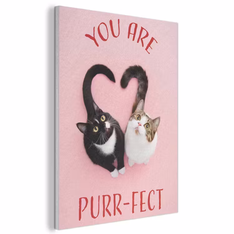 Acoustic Panel - Cat - Heart - Text - Valentine — 1