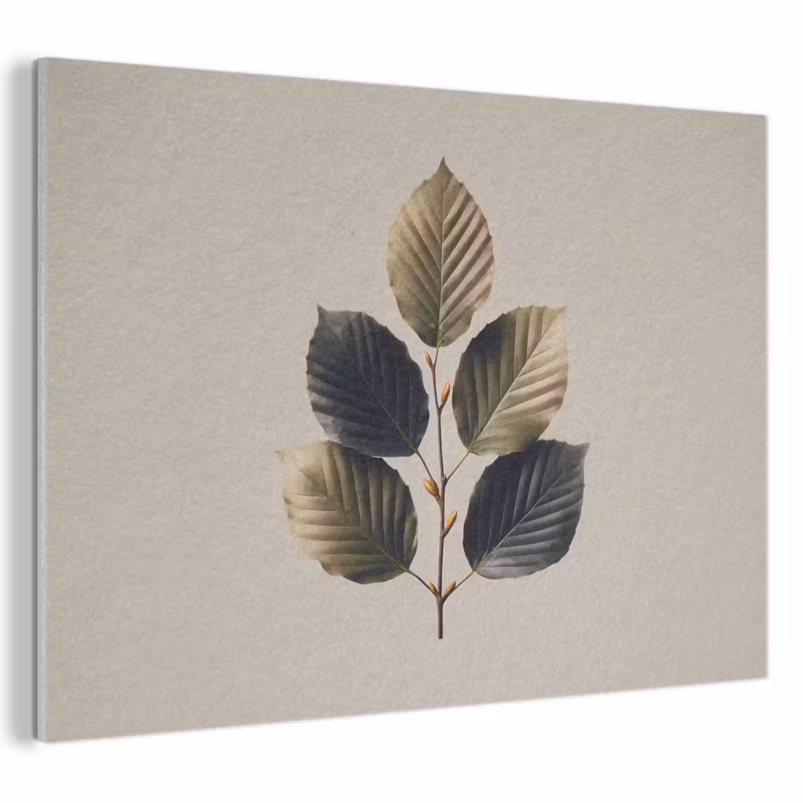Acoustic Felt - Beech leaves - Brown - Green - neutral — 1