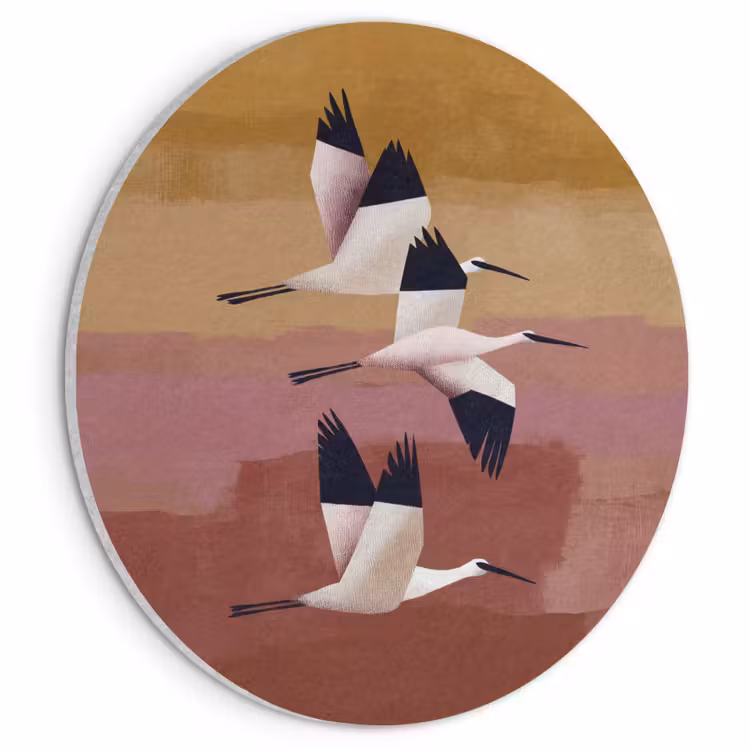 Acoustic painting round - Birds - Beak - Abstract — 1