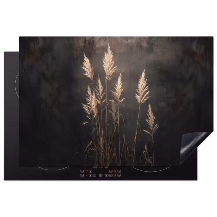 Induction Hob Cover - Ornamental grass - Plumes - Lighting - Black — 1