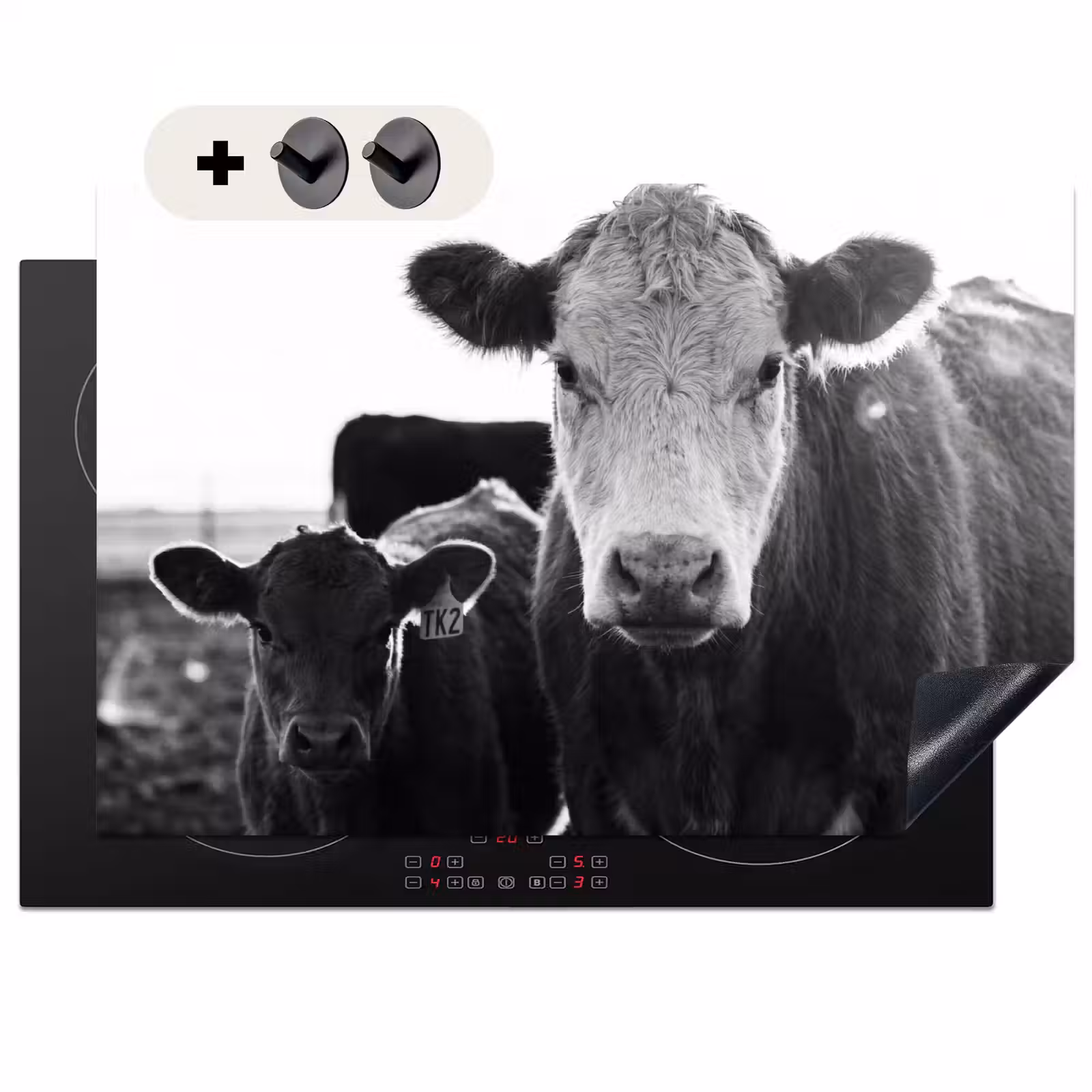 Induction Hob Cover & Splashback (2-in-1) - Cows - Black - White — 1