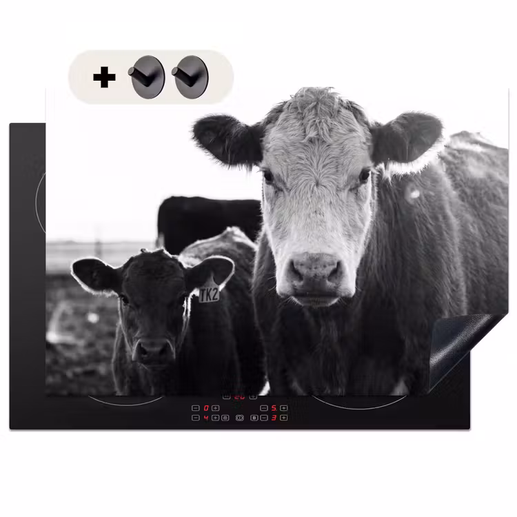 Induction Hob Cover & Splashback (2-in-1) - Cows - Black - White — 1