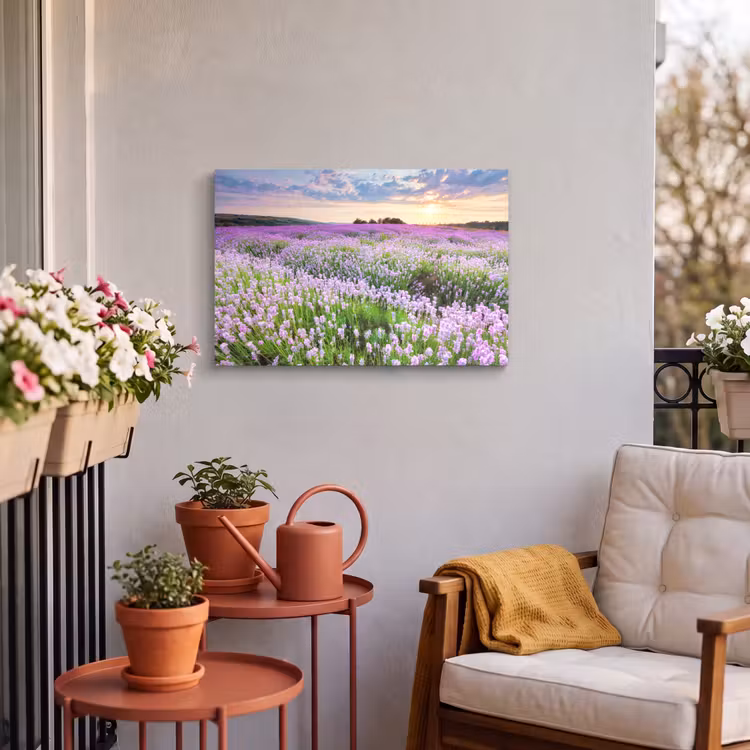 Outdoor Canvas Print - Lavender - Flowers - Sunset - Purple - Meadow — 3