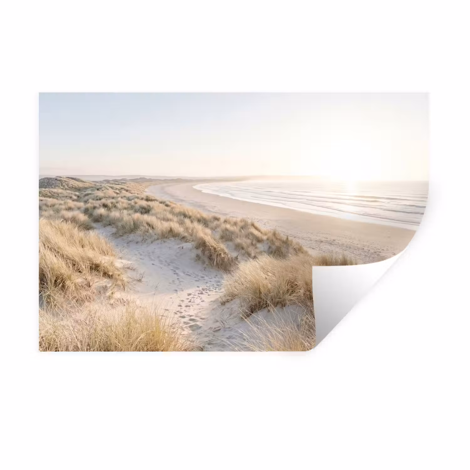 Wall Sticker - Dunes - Beach - Beige