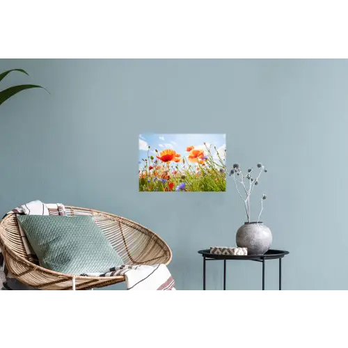 Bloemen - Klaproos - Lente - Natuur - Rood - Blauw Muursticker klein -plant
