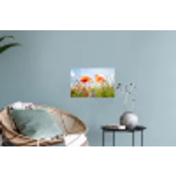 Bloemen - Klaproos - Lente - Natuur - Rood - Blauw Muursticker klein -plant