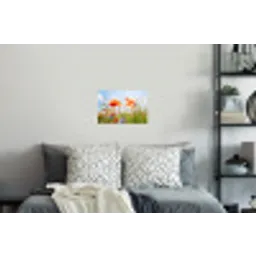 Bloemen - Klaproos - Lente - Natuur - Rood - Blauw Muursticker klein -slaapkamer