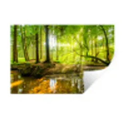 Bos - Landschap - Water - Bomen - Zon - Groen Muursticker klein -3d
