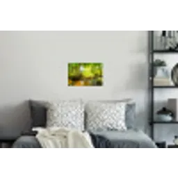 Bos - Landschap - Water - Bomen - Zon - Groen Muursticker klein -slaapkamer