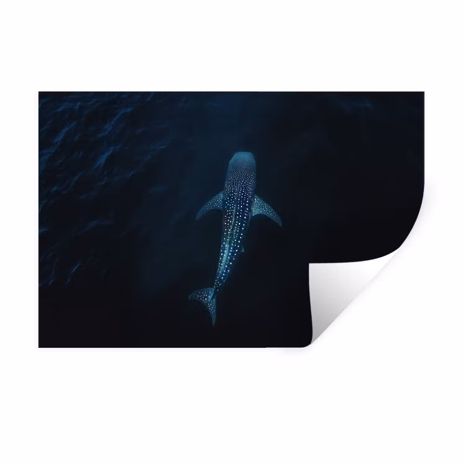 Wall Sticker - Ocean - Whale shark - Dark blue - Spots