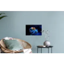 Octopus - Stippen - Blauw - Zee Muursticker klein -plant