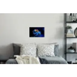 Octopus - Stippen - Blauw - Zee Muursticker klein -slaapkamer