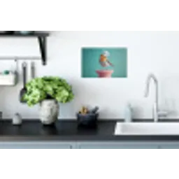 Roodborstje - Vogel - Koksmuts - Sokkel Muursticker klein -keuken