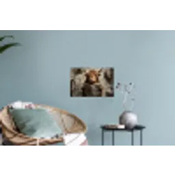 Schotse hooglander - Toilet - Krant - Badkamer Muursticker klein -plant