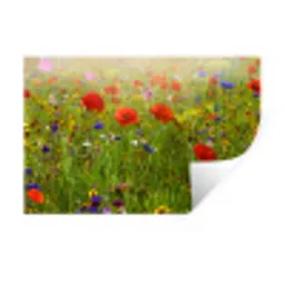 Lente - Bloemen - Rood - Klaproos - Gras - Groen Muursticker klein -3d